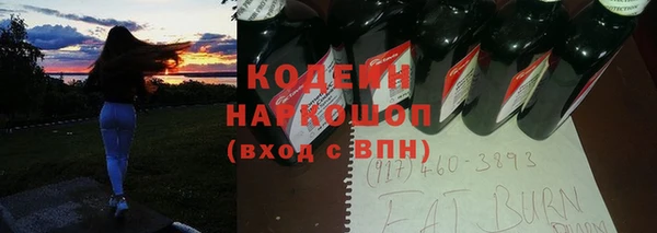 соль ск Каменка