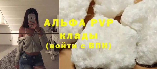 spice Бородино