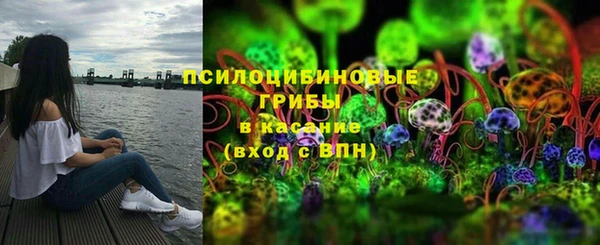 дмт Каменногорск