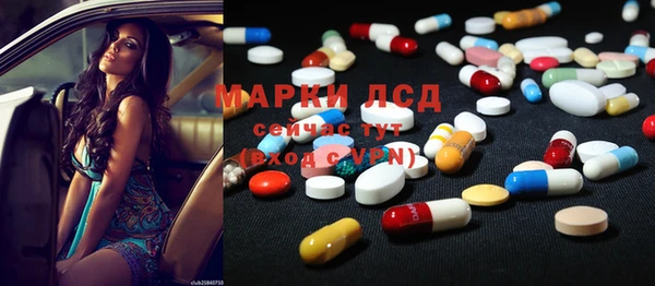 spice Бородино